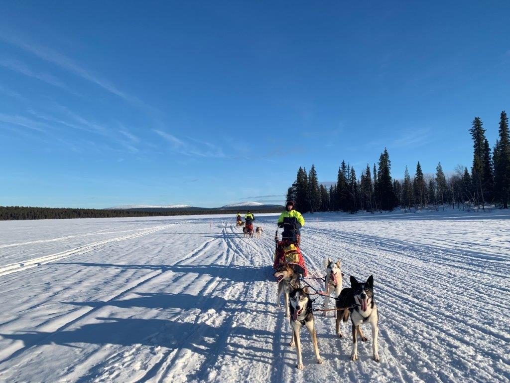 Huskytour Fahrt über gefrorenen See