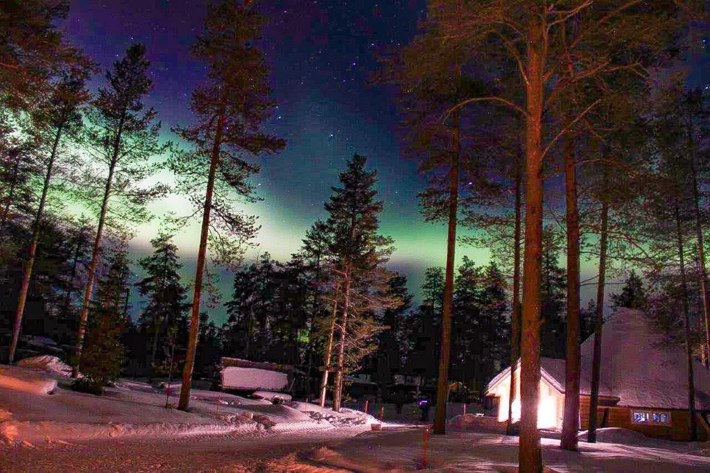 Nordlicht Huskycamp