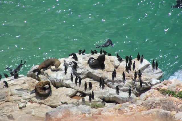 Robberg Nature Reserve