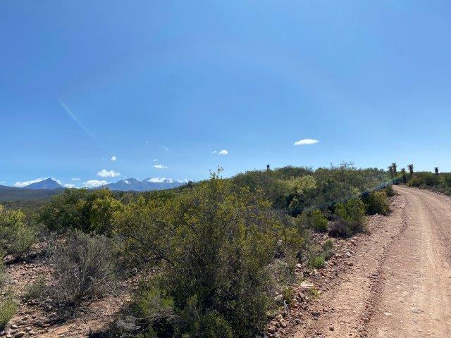 Oudtshoorn Safari