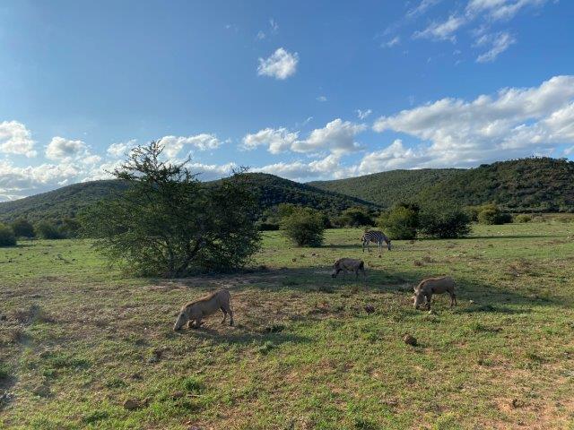 Addo Elephant National Park